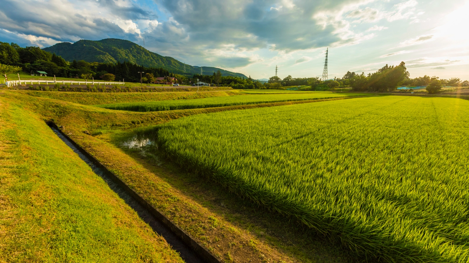 キーヴィジュアル