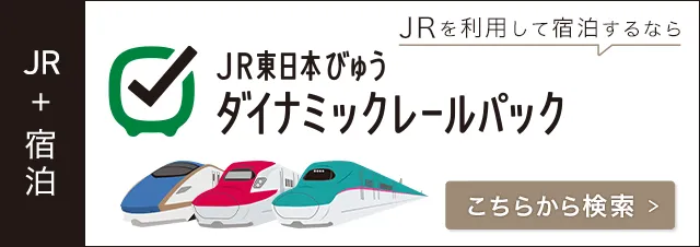 JR東日本びゅう ダイナミックレールパック