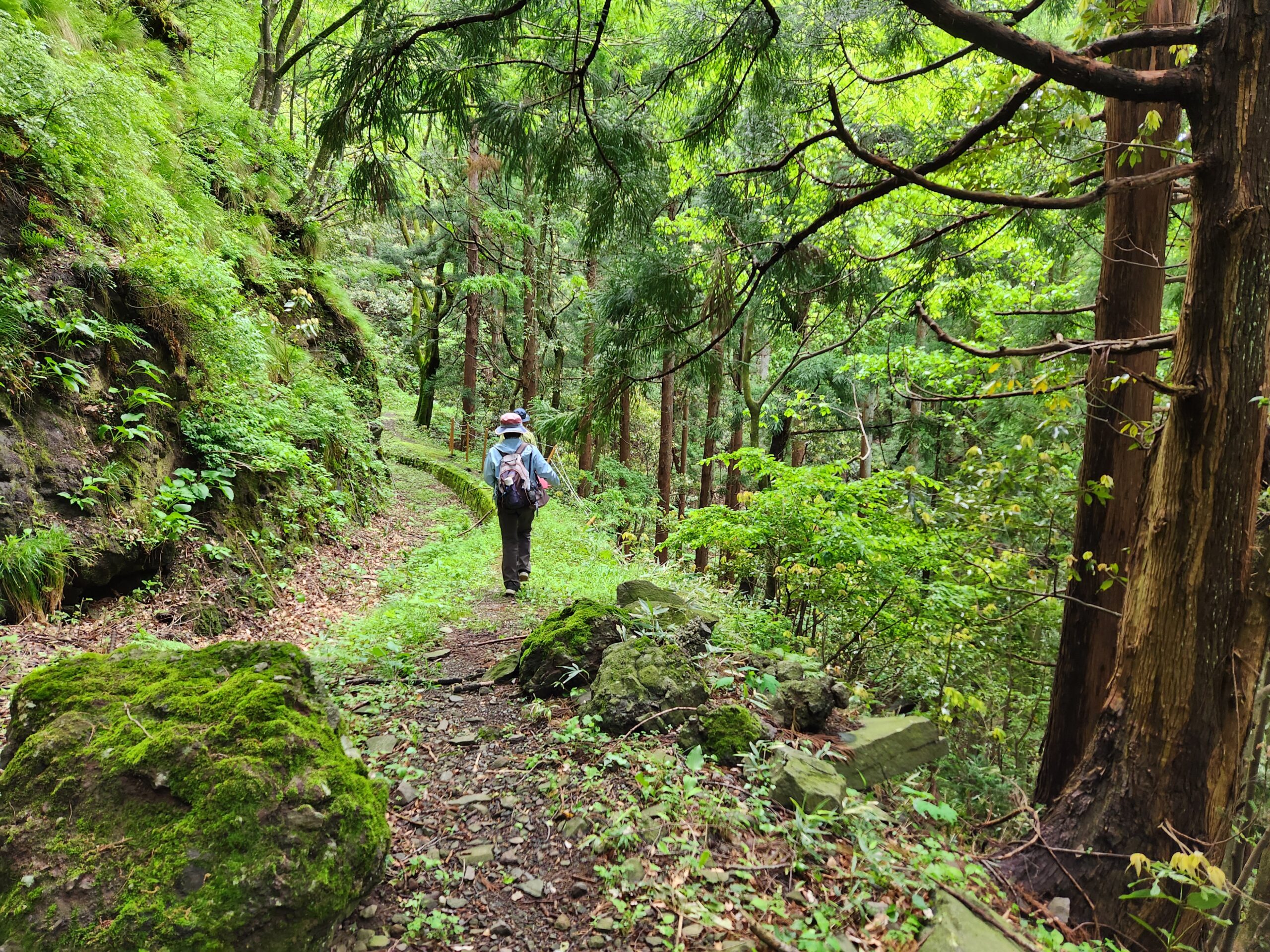舟倉用水を辿る森林浴散歩
