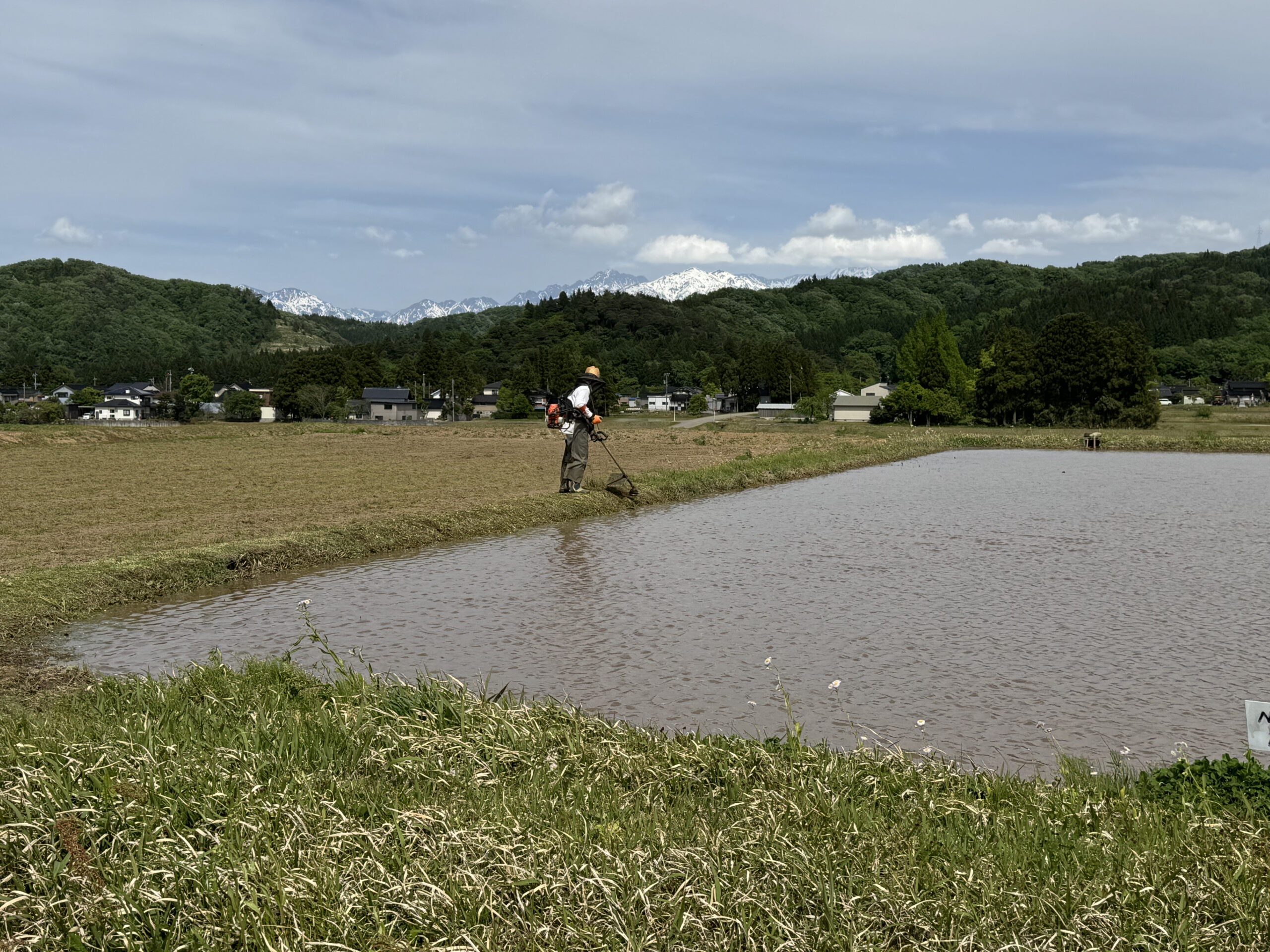 田んぼに水が入りました