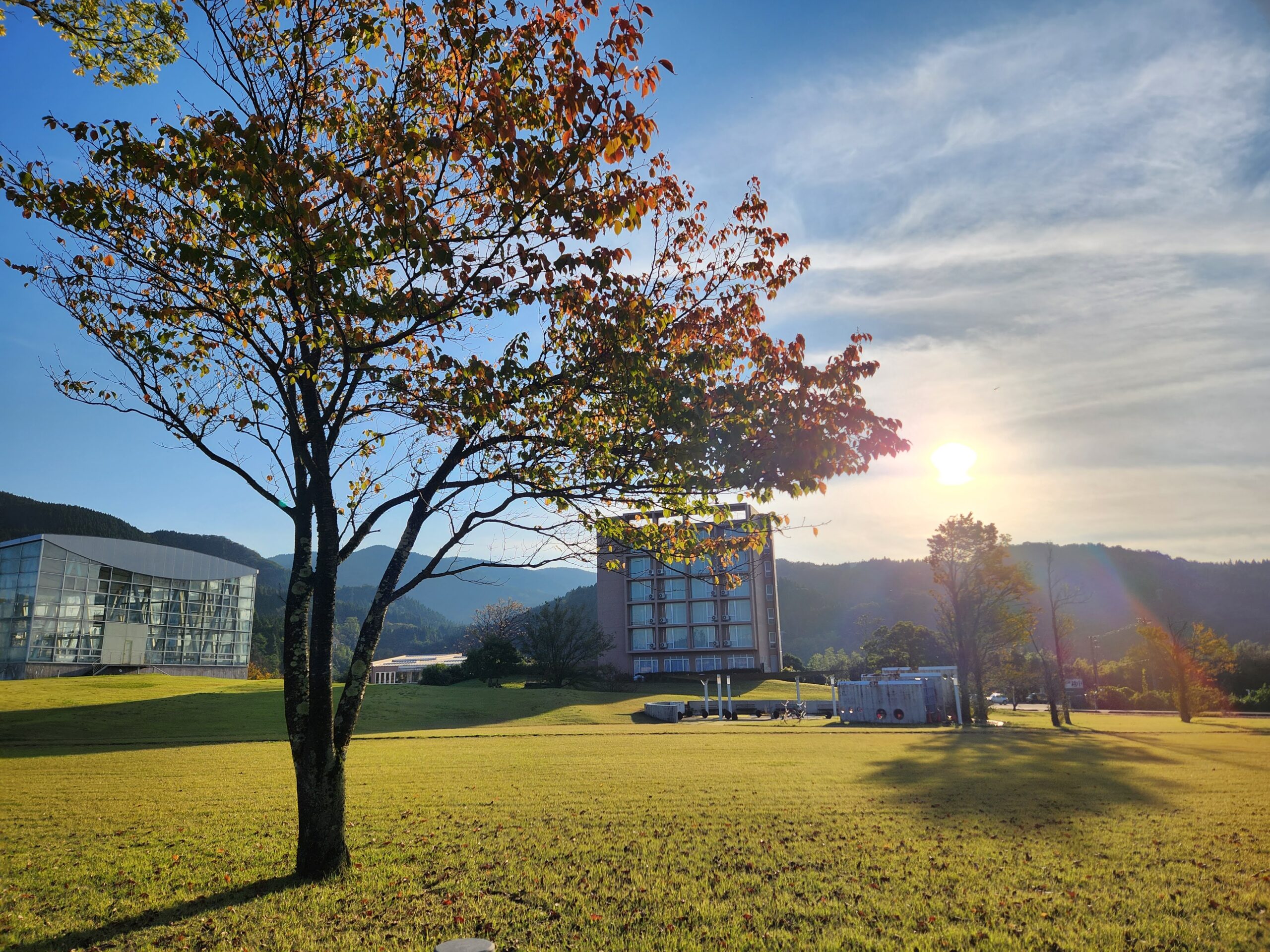 少しずつ秋めいてきました