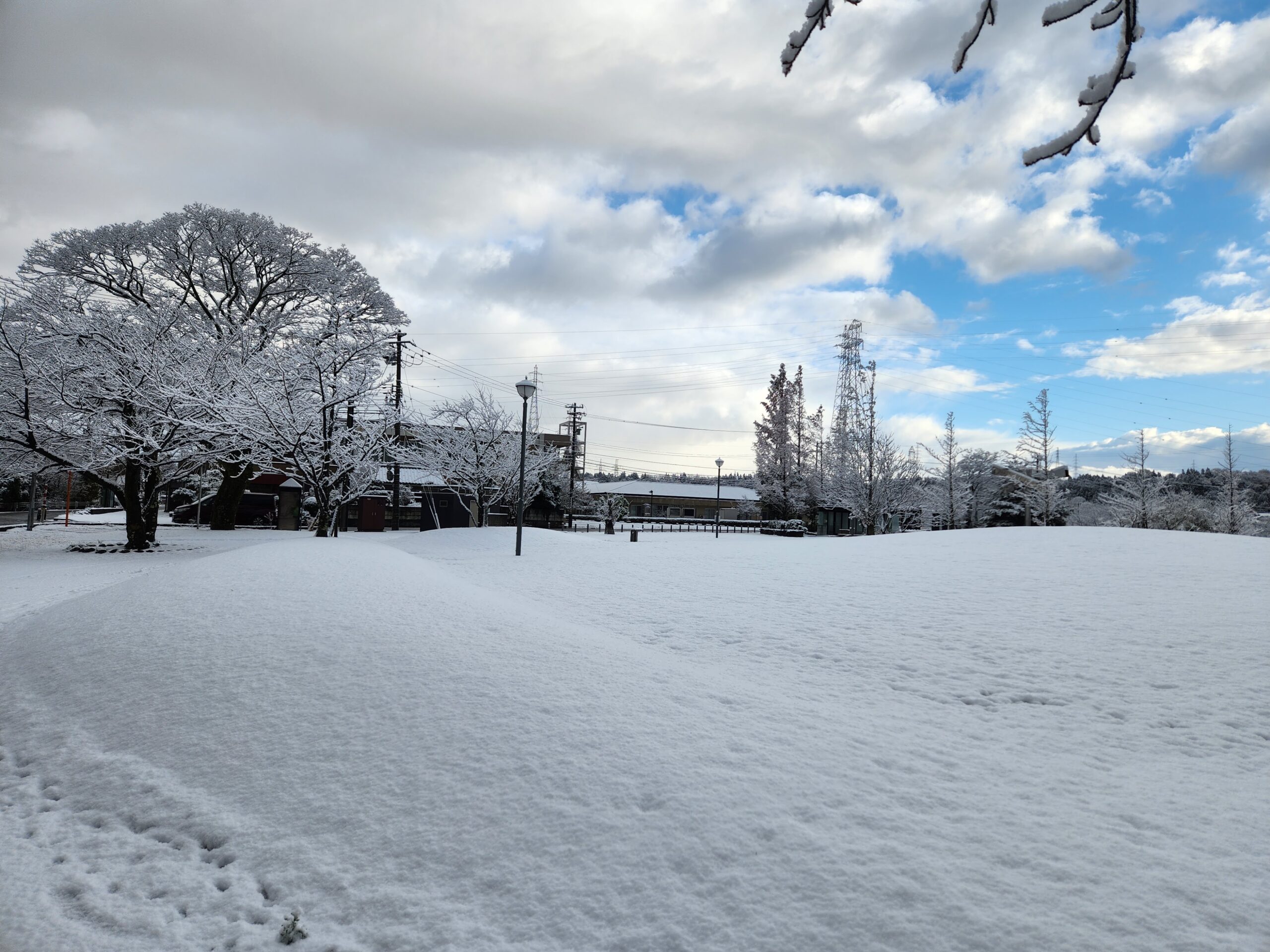 里山の初雪
