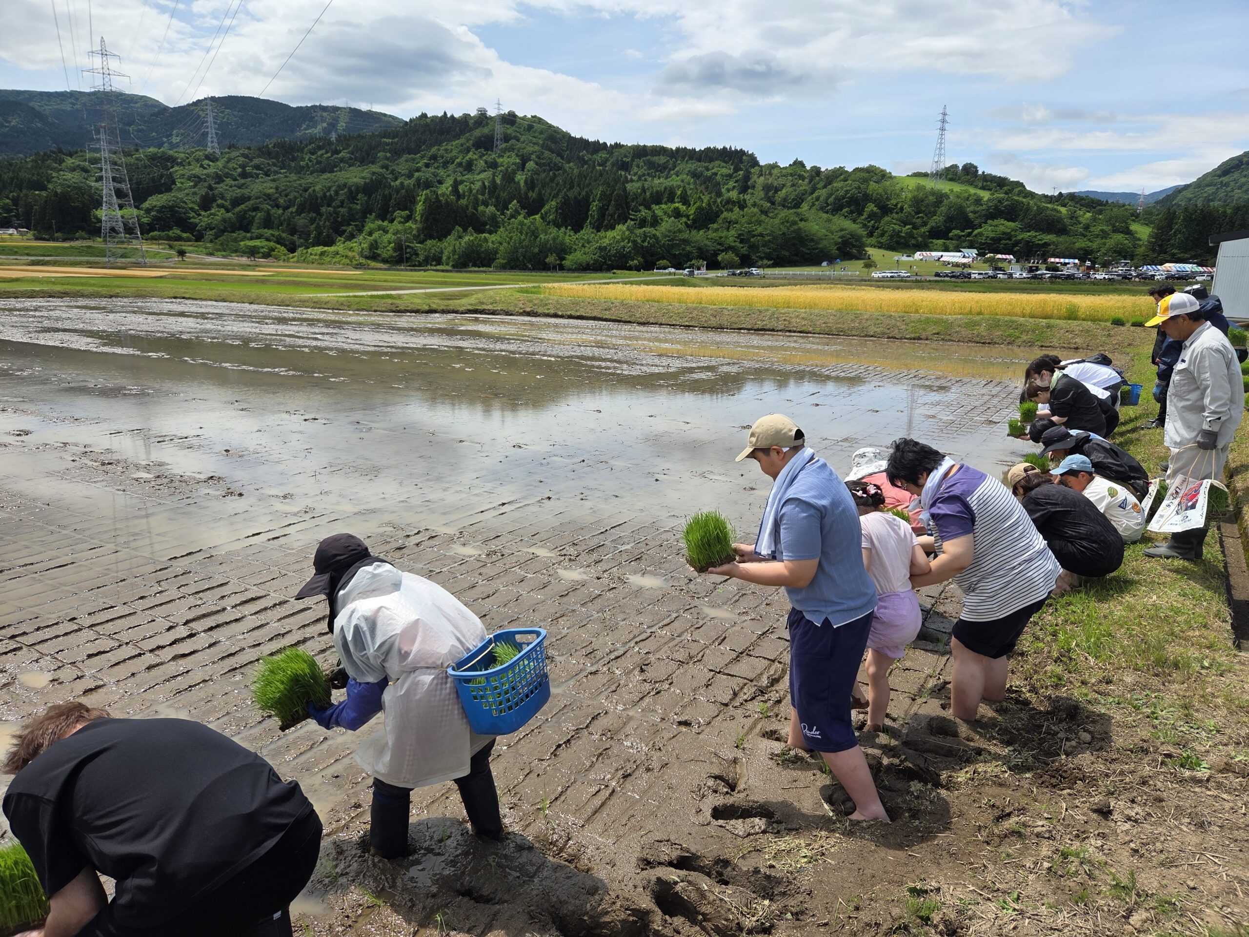 第3回田植え体験